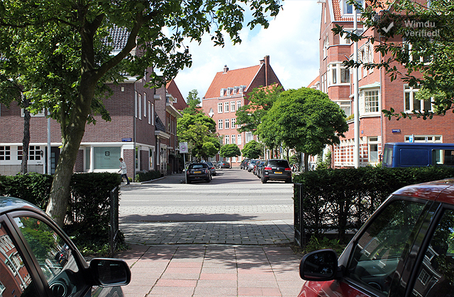 view from driveway