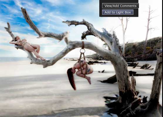 slaves-in-tree