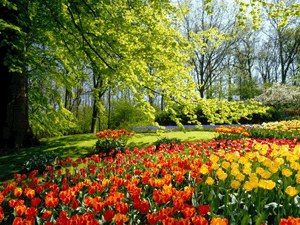 keukenhof